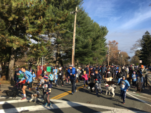 Rye Turkey Trot – Race Winners