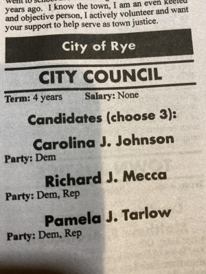 City council race 2019