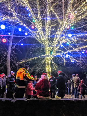 Rye fire tree lighting 3