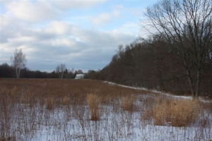 Service Work, Bird Feeders and Owl Identification at Rye Marshlands This Weekend