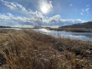 Ecology Discussion & Share Your Artwork This Weekend at Rye’s Great Parks