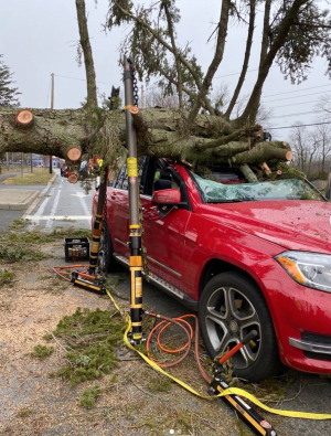 Rye FD tree fall