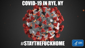 COVID IN RYE MEME