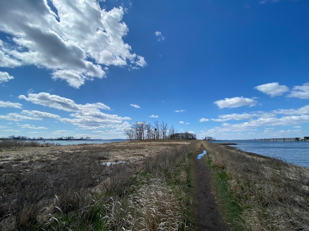 (PHOTO: Marshlands Conservancy in Rye on Earth Day 2020. File photo.)Rye Marshlands Earth Day