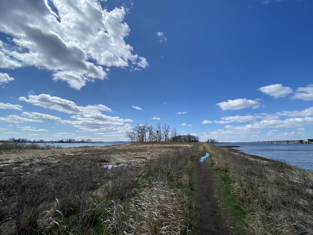 Rye Marshlands Earth Day IMG_4544