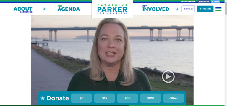 Catherine Parker Rye, NY for Congress website 2020