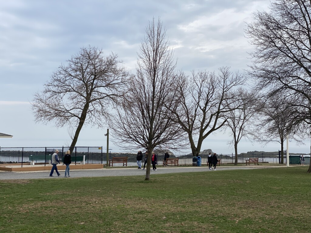 Rye Town Park March 2020