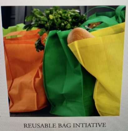 Rye Sustainability Committee Reusable Bag Initiative