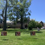 Rye High Graduation Car Parade 2020: Senior Signs