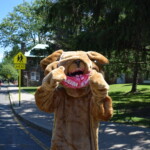 Midland School Graduation Car Parade June 2020 Midland Bulldog Gives Students 2 Paws Up