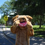 Midland School Graduation Car Parade June 2020 Midland Bulldog Gives Students 2 Paws Up