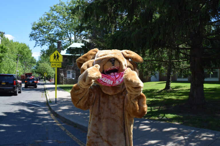 Midland School Graduation Car Parade June 2020 Midland Bulldog Gives Students 2 Paws Up