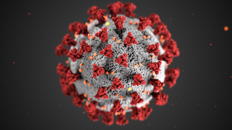 CORONAVIRUS GERM 2