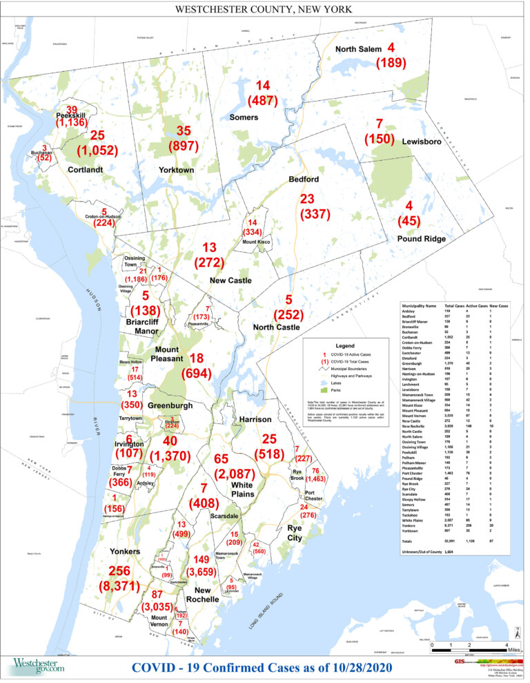 Coronavirus_WCMunCount_1028