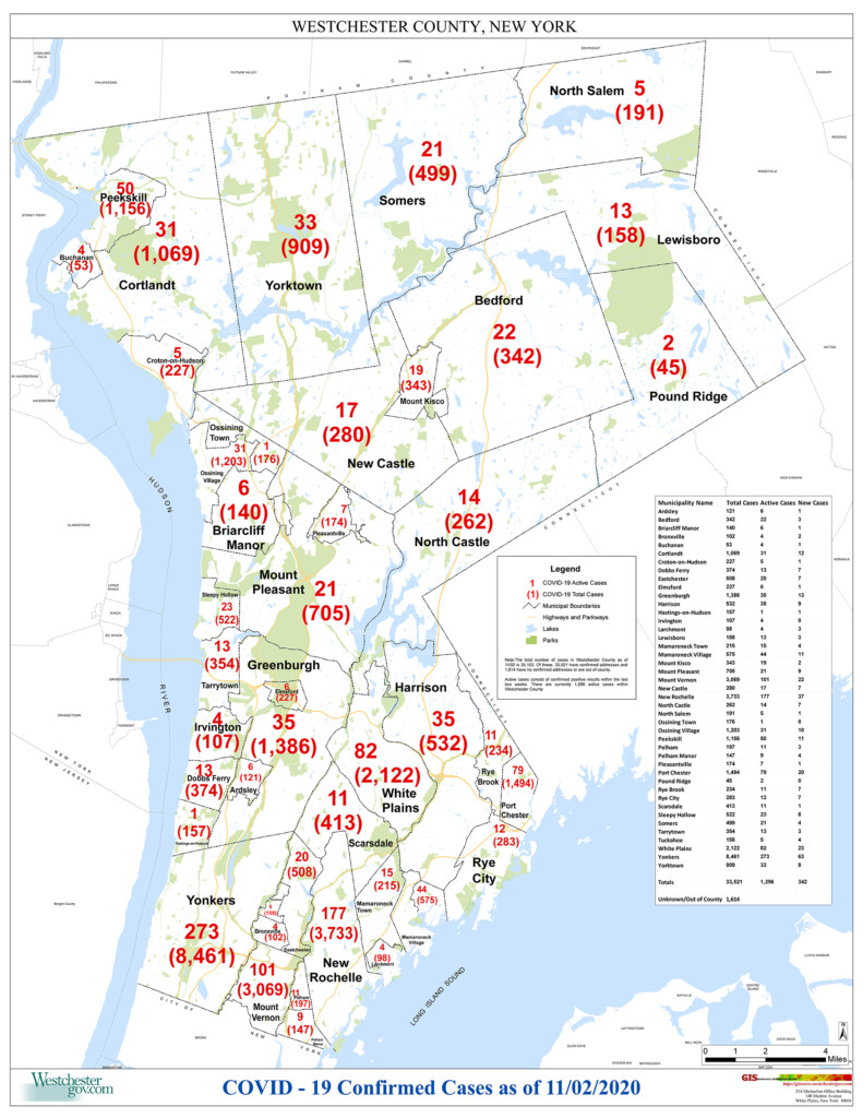 Coronavirus_WCMunCount_1102 (4)