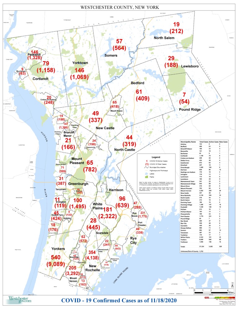 Coronavirus_WCMunCount_1118-page-001