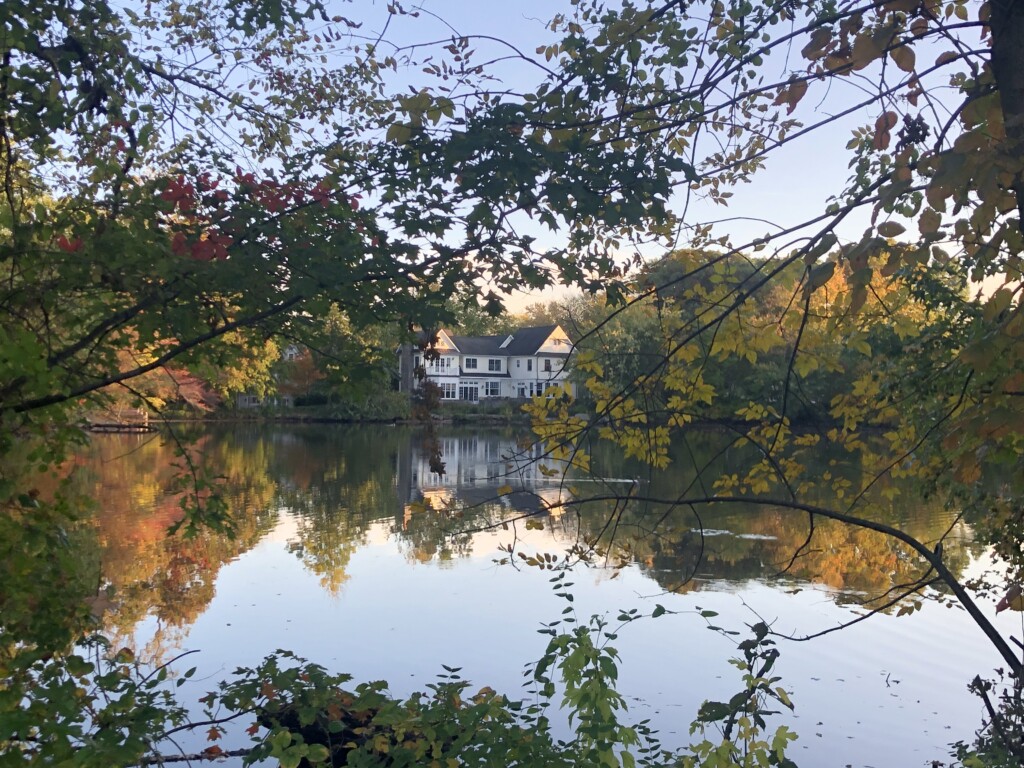 View of Fiona Dogan's home across Mead Pond