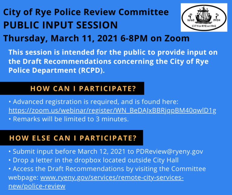 March 11, 2021 Police Review Public Input Session