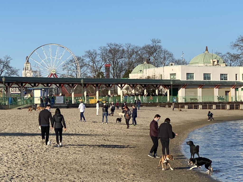 Rye Playland Beach with dogs 03-20-2021--2