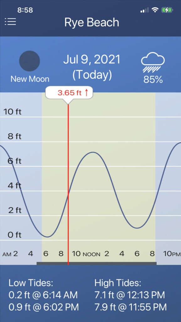 Tide Chart - Friday July 9, 2021