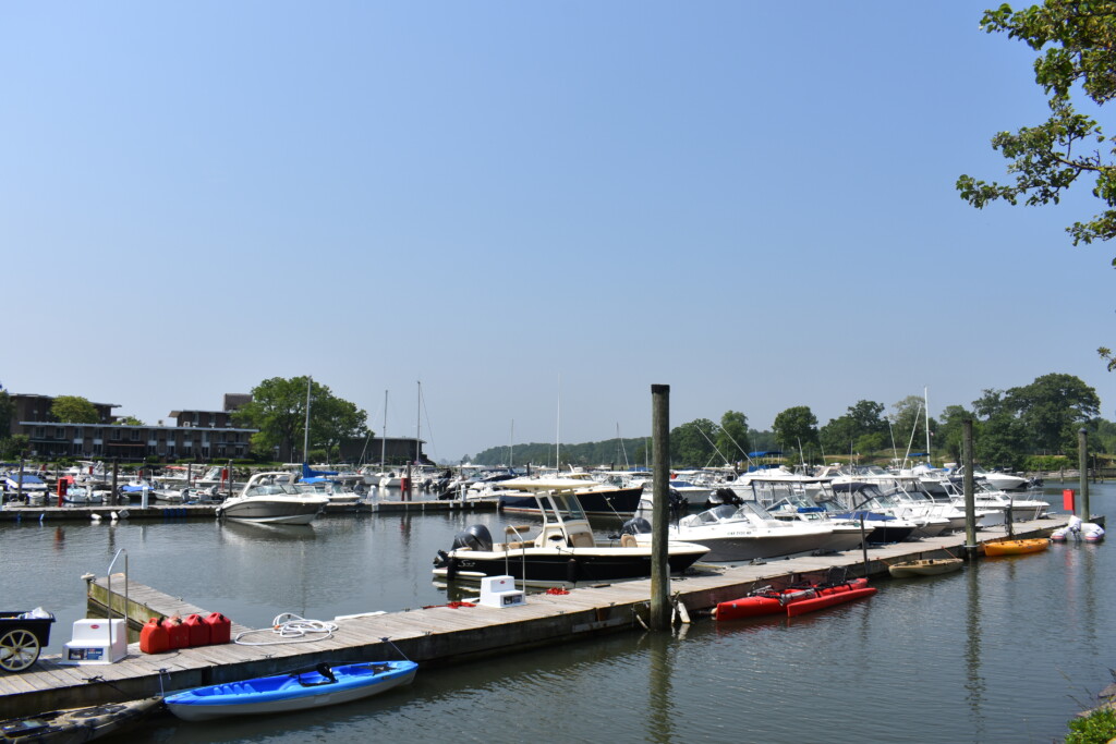 Rye Boat Basin May 26, 2021 Pei Pei Martin