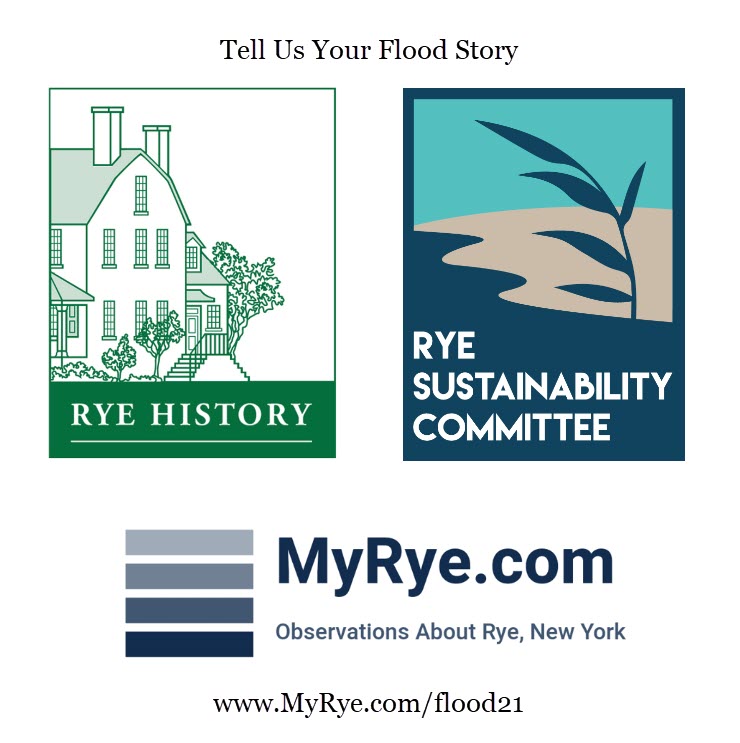 Tell us your flood story logo 2021