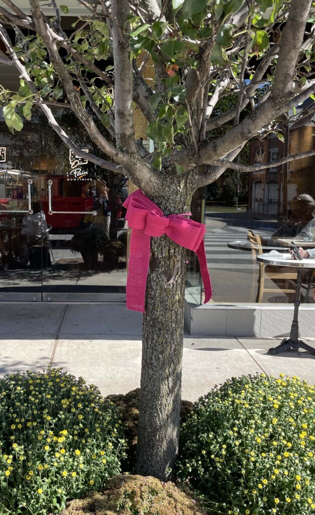 Soul Ryeders 8th Annual TieTheTownPink campaign - 2021-10 - Le Pain Quotidien ribbon