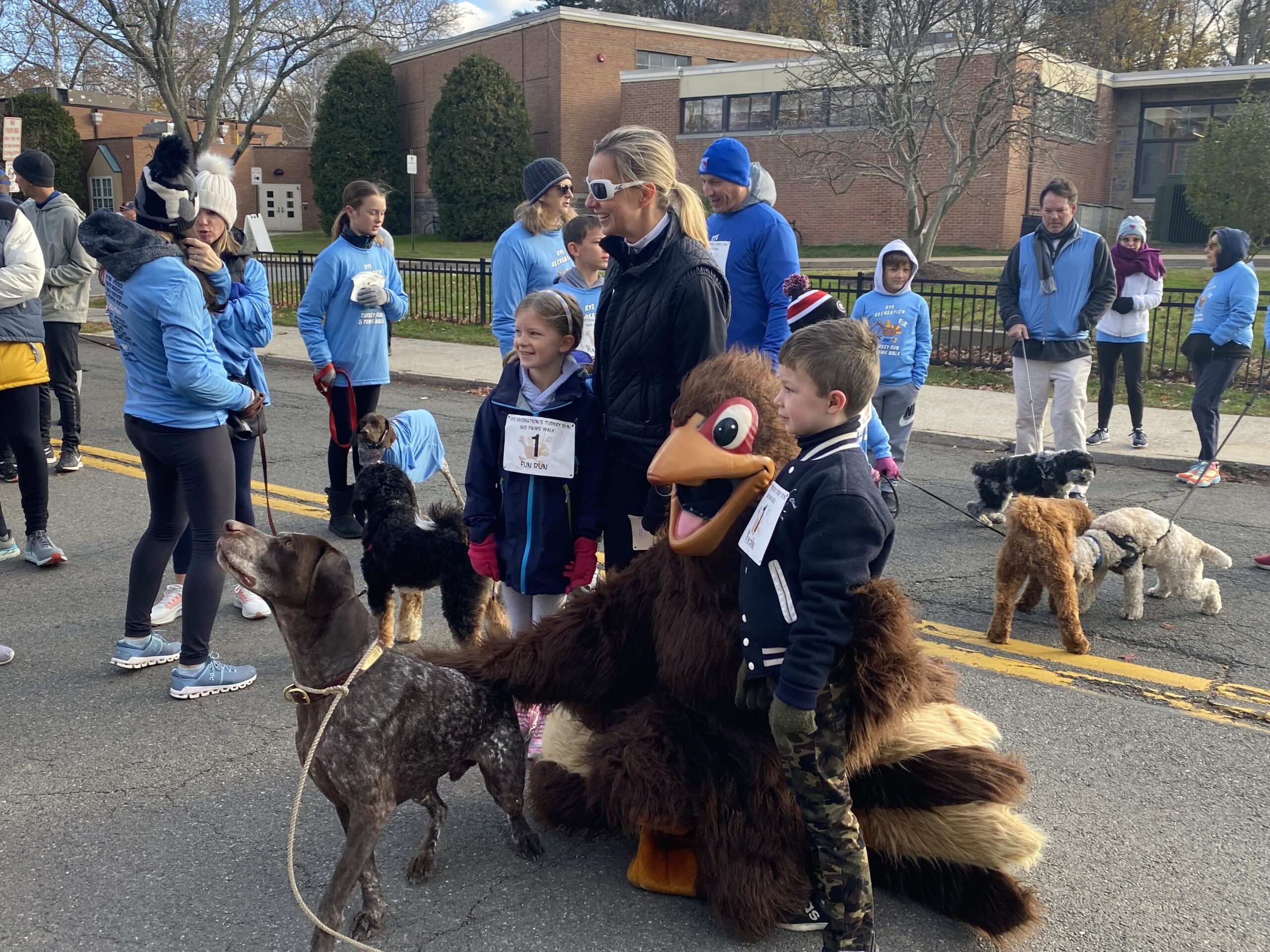 Rye Recreation’s 44th Annual Turkey Run and Paws Walk (AKA Turkey Trot) on November 27, 2021 - Paws Walk