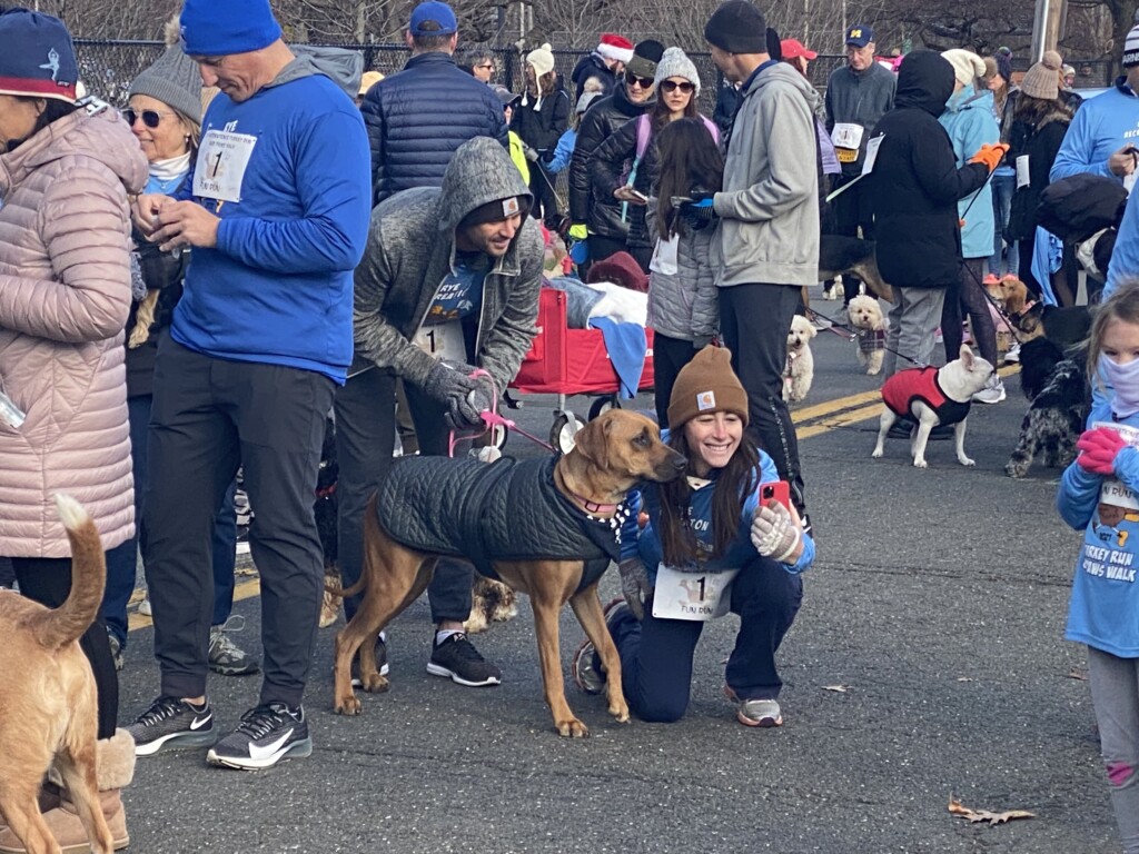 Rye Recreation’s 44th Annual Turkey Run and Paws Walk (AKA Turkey Trot) on November 27, 2021 - Paws Walk