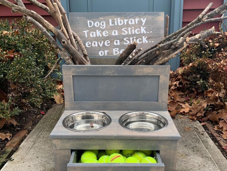 dog library by G. Griffin Wine & Spirits 2021