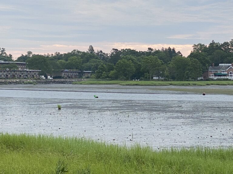 (PHOTO: The buoys in Milton Harbor often flop over at low tide, showing how silted and narrow the channel is for mariners.)