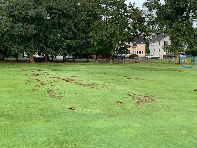 (PHOTO: This post IDA picture (Sept 2)  highlights evidence of wide debris dispersion on Rye Golf Course (hole #2) caused by Soundview Avenue’s (houses in background) Ida runoff. Currently, Soundview Avenue and residential storm runoff enters the golf course near the far right house (blue marked circle).)