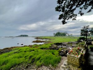 (PHOTO: Hen Island, looking good. Credit: Bob Clyatt.)