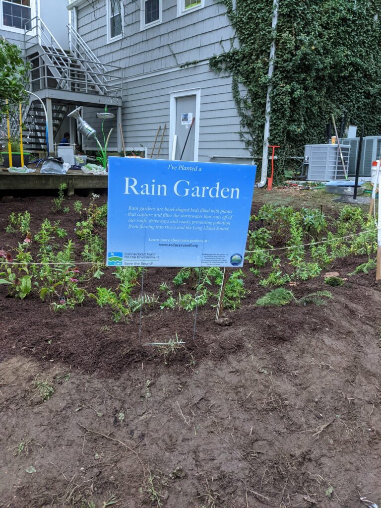 Rye Arts Center rain garden installation 12 PXL_20220911_224906632.MP