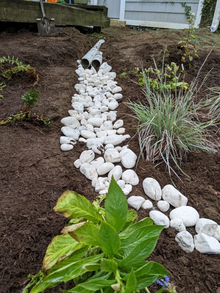 Rye Arts Center rain garden installation 8 PXL_20220911_223241423.MP