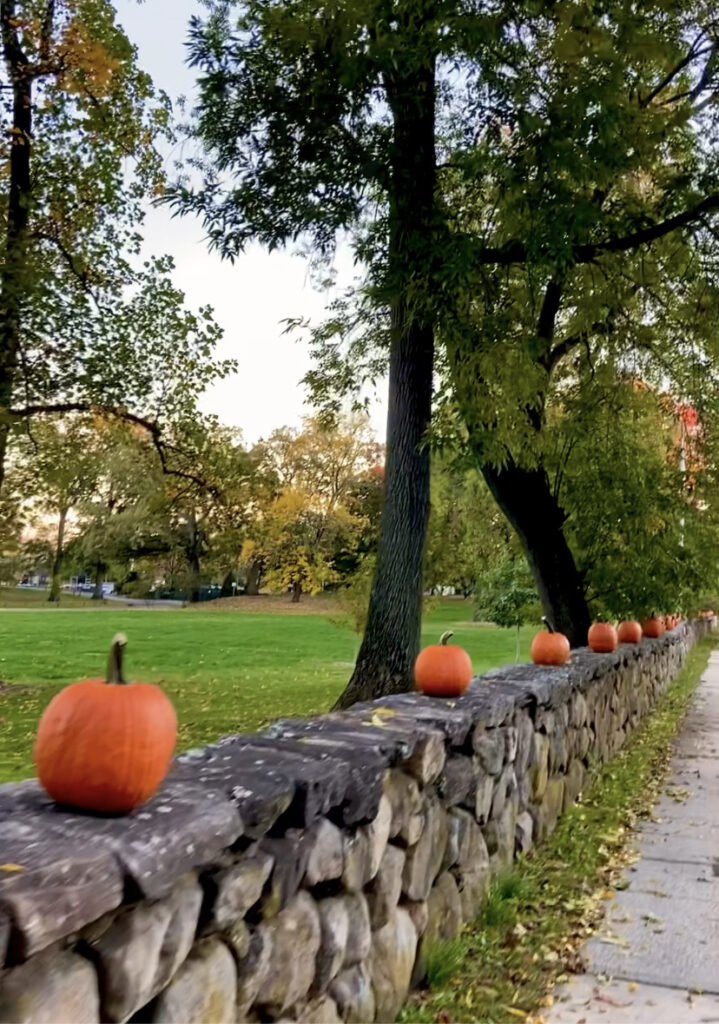 (PHOTO: Seasonal fun in Rye Town Park. Credit: Diana Page.)