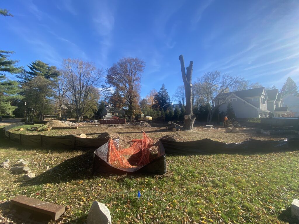 (PHOTO: 40 Bradford Avenue on Tuesday morning, November 8, 2022. House down, and so are the trees, including three mature trees.)