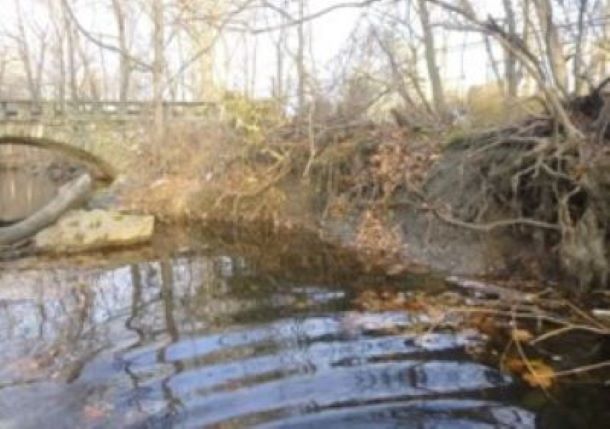 (PHOTO: Cash Buffer for Nature. Resolution to accept a $284,000 grant from the Long Island Sound Futures Fund for the design of the Blind Brook Riparian Buffer Restoration at the Rye Nature Center.)