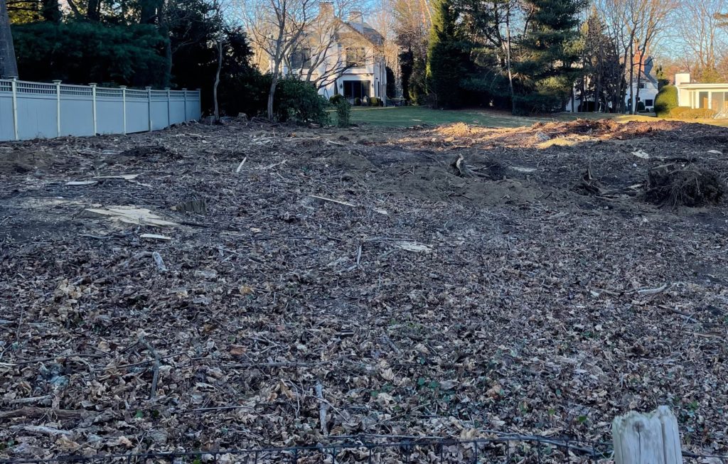 (PHOTO: On Saturday, February 4th, 2023, approximately 40 mature trees were cleared from this lot on Turf Lane off Forest Avenue. There is no City law preventing such an occurrence.)
