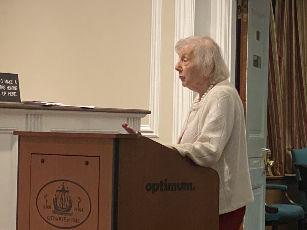 (PHOTO: The elderly but spry Rye resident Judy Studebaker of Ann Lane channeled The Lorax during her tree soliloquy at the Rye City Council meeting on Wednesday, February 15, 2023.)