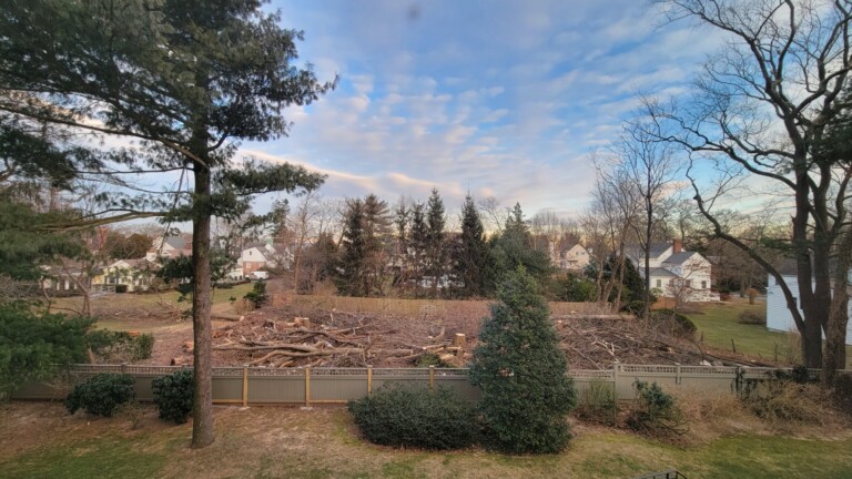 (PHOTO: This lot off Turf Avenue had about 40 mature trees. The trees were clear-cut on Saturday, February 4, 2023. Mayor Josh Cohn's property is the right of the clear-cut area.)