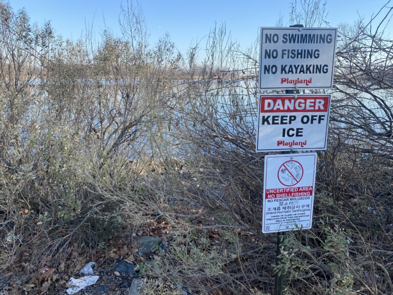 (PHOTO: Just off the Playland parking lot in these bushes, an outflow pipe drains into Playland Lake and the Long Island Sound. File photo.)