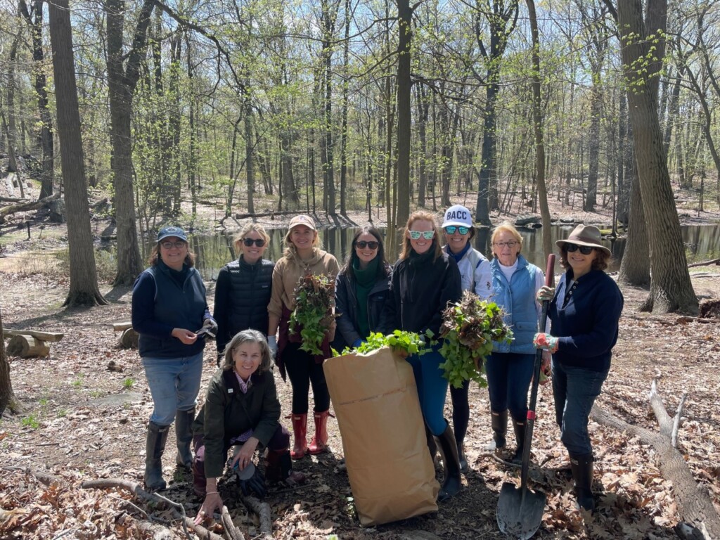 (PHOTO: Several Volunteers Helped Clean Up the Surrounding Areas of Nanderwhere Pond.)