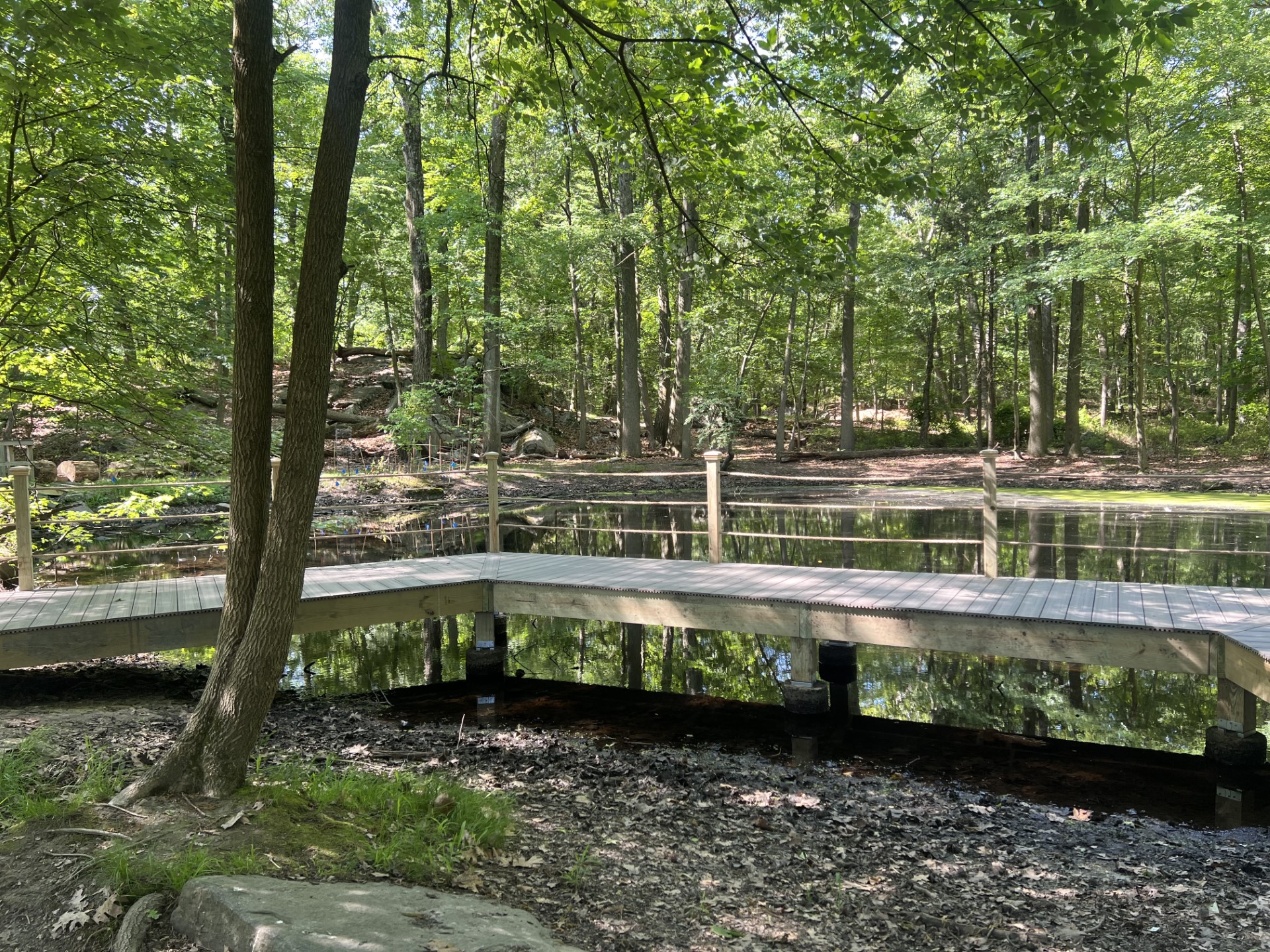 (PHOTO: The Completed Observation Deck at Nanderwhere Pond.)