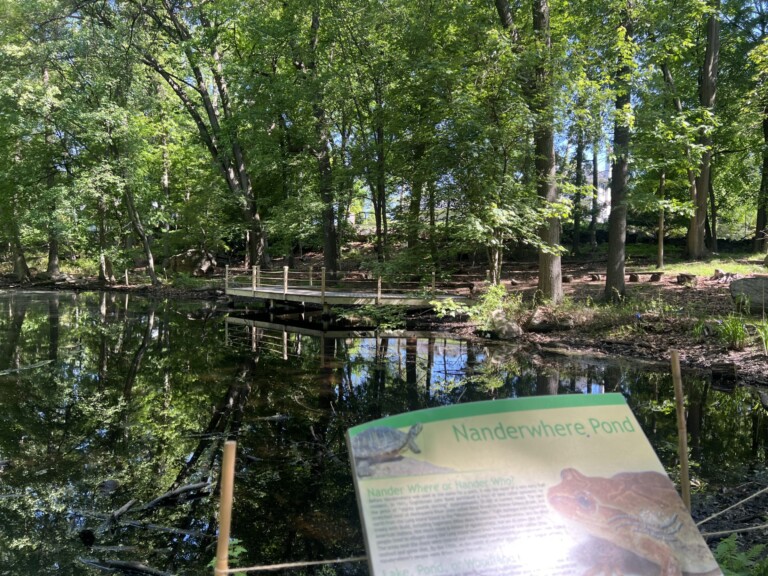 (PHOTO: Full Restoration of Nanderwhere Pond has been Completed.)