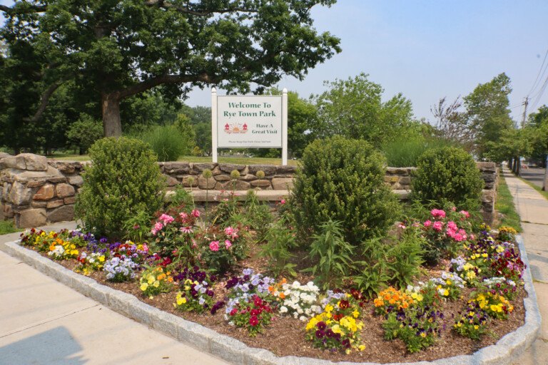 (PHOTO: The corner of Rye Town Park at the intersection of Dearborn and Forest Avenue. Credit: Sierra Desai.)