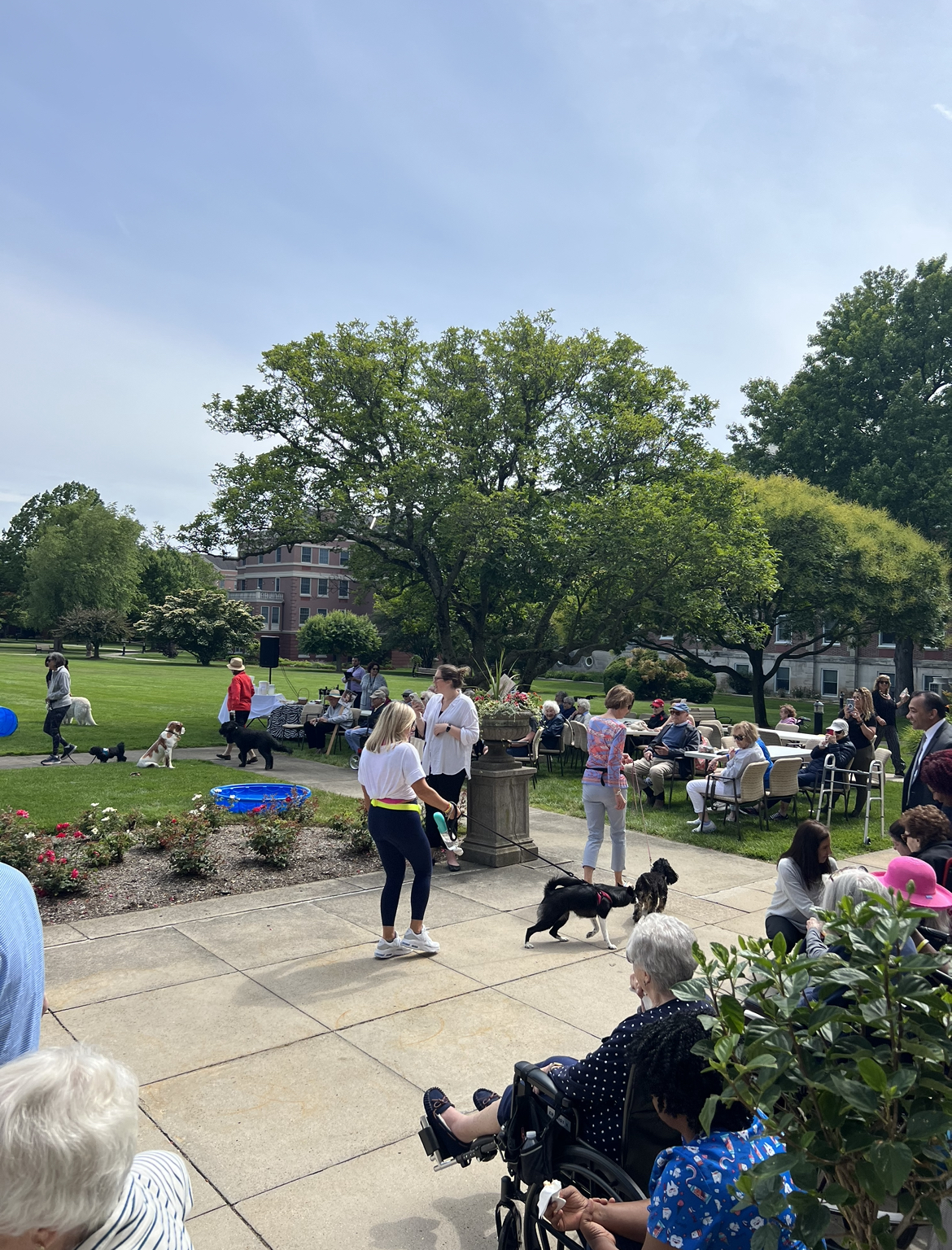 Owners and dogs walking around the pavement on the South Lawn during musical chairs.