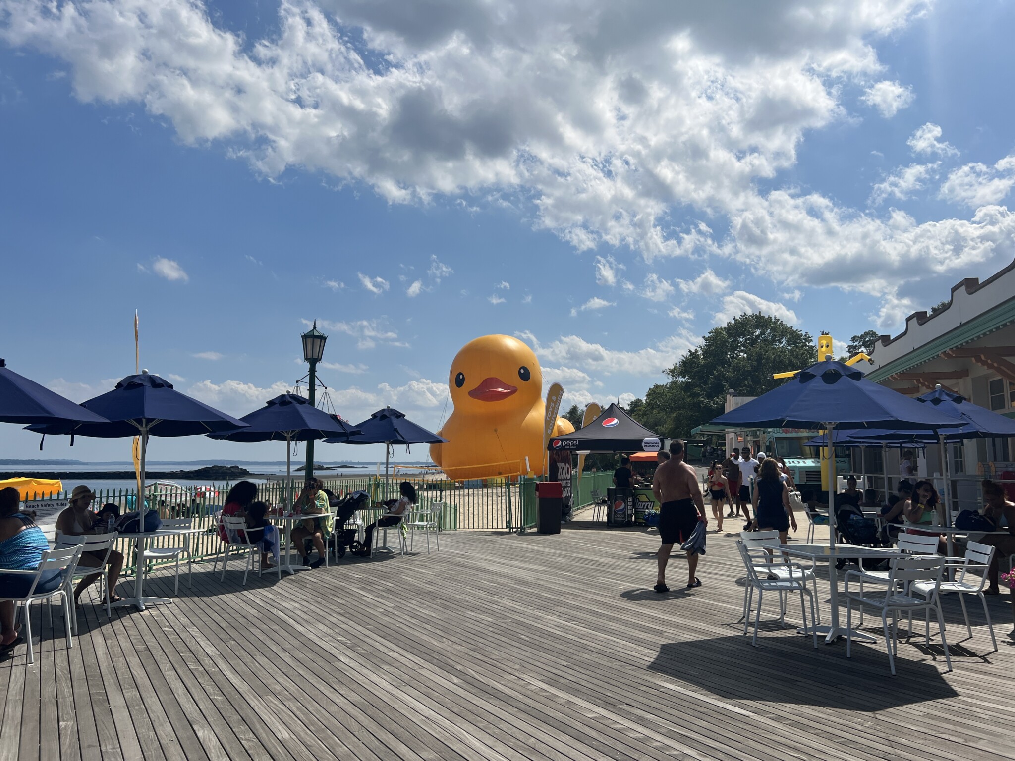 At 61 Feet Tall, Mama Duck Lands at Playland Beach - MyRye.com