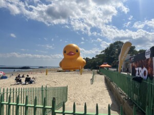 Mama Duck at Playland