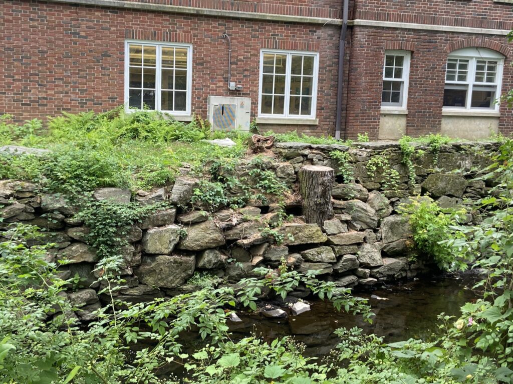 (PHOTO: The Rye Free Reading Room has commissioned and received an engineering study for the ground and the seawall behind the library on the Blind Brook.)